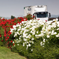 Giardino aziendale