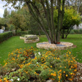Giardino in zona residenziale