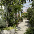 Giardino pensile