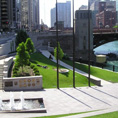 Verde urbano